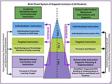 The Multi-Tiered System of Supports (MTSS)