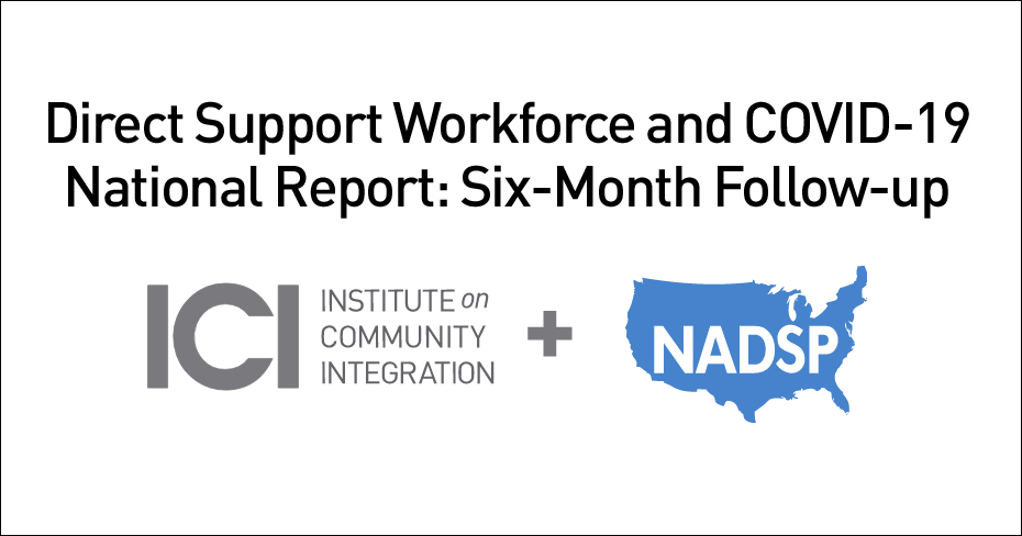 Report title with logos of ICI and NADSP.